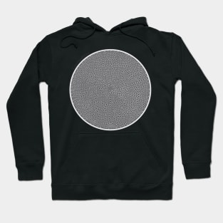 Diatom - Coscinodiscus (scientific) Hoodie